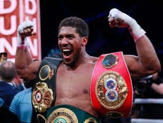 ‘Different beast’ Joshua predicts how Wilder-Fury II will play out