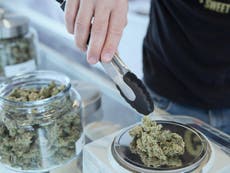 New Zealand is the next country to fight the prohibition of cannabis, and high time too