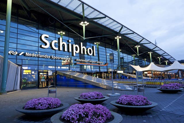 The entrance of Schiphol Airport in Amsterdam in the evening with purple flowers in front of the airport hall