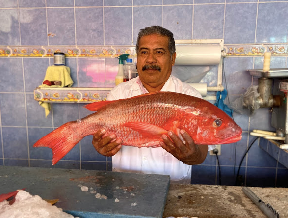 A market trader shows off the impressive haul from that morning's catch