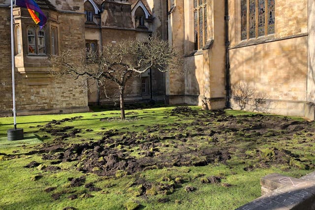 Trinity College lawn in Cambridge after Extinction Rebellion activists dug it up in an environmental protest