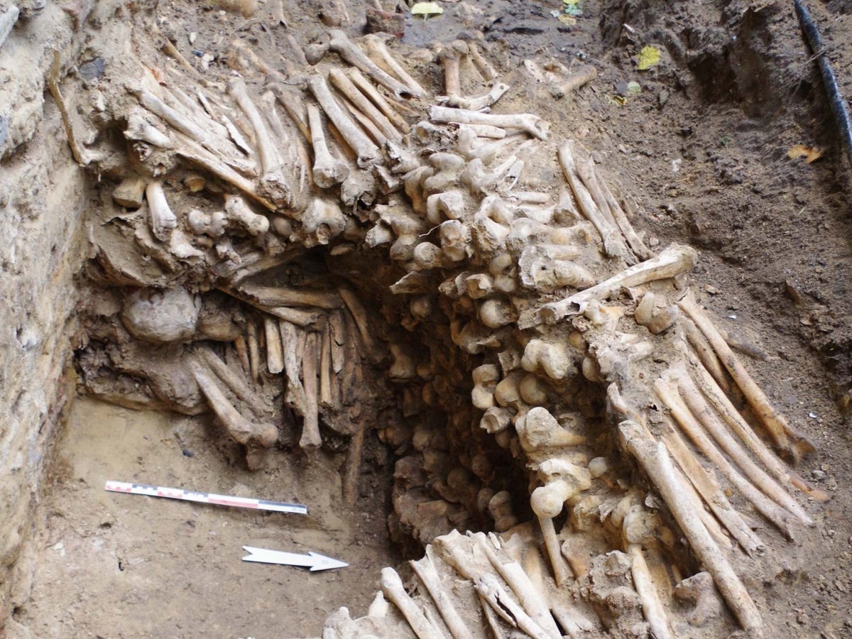 wall e humans bones