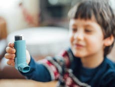 Air pollution linked to asthma in children, study finds