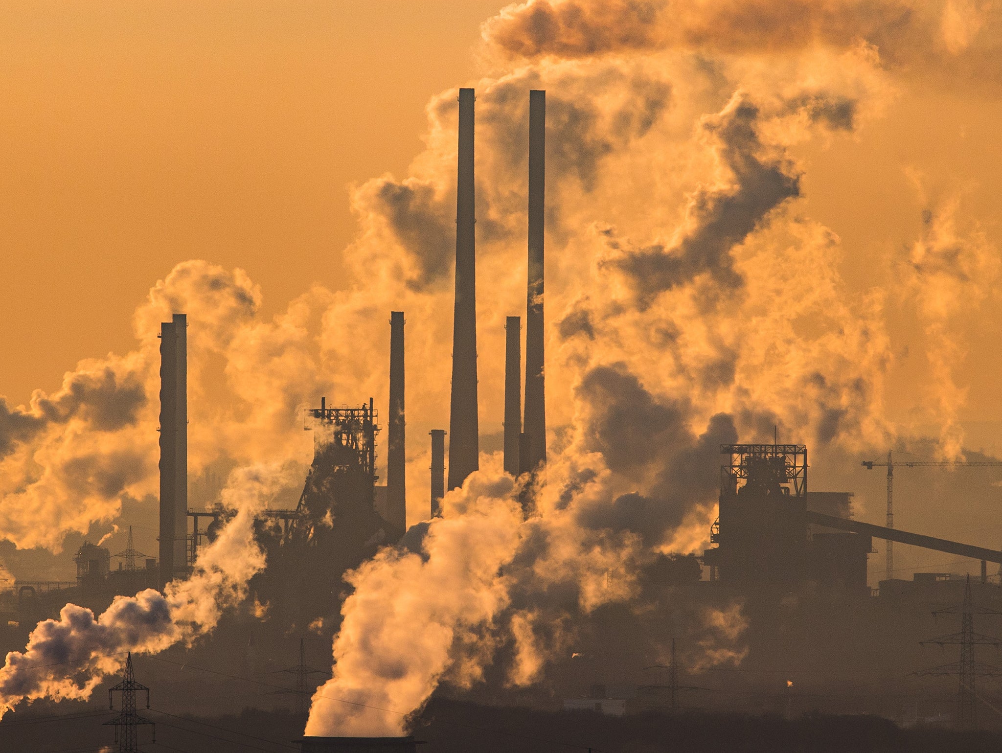 One in three Tory members believe human activity not responsible for climate change, survey finds