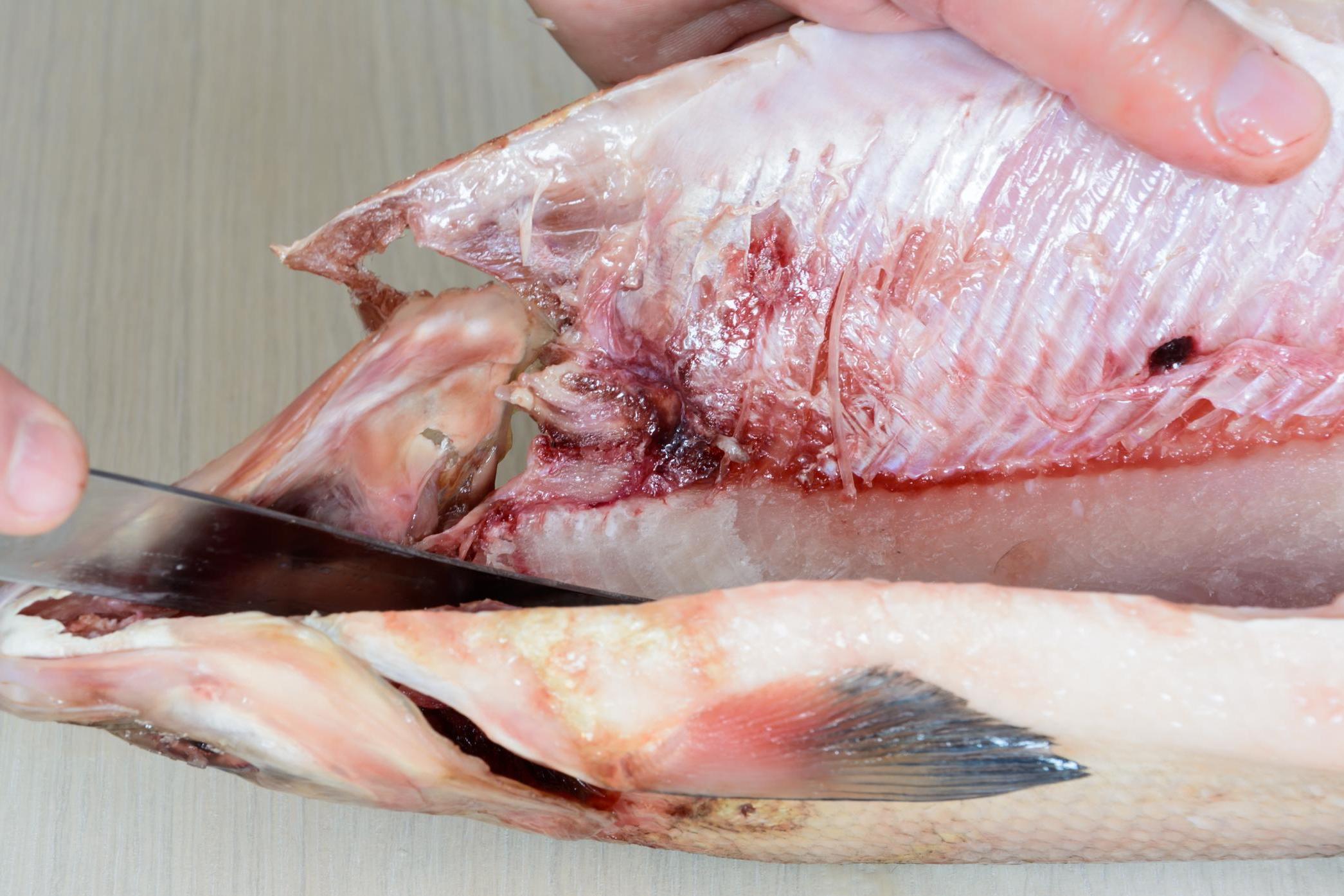 The hardest part of preparing stroganina is peeling the skin off the frozen fish (iStock)