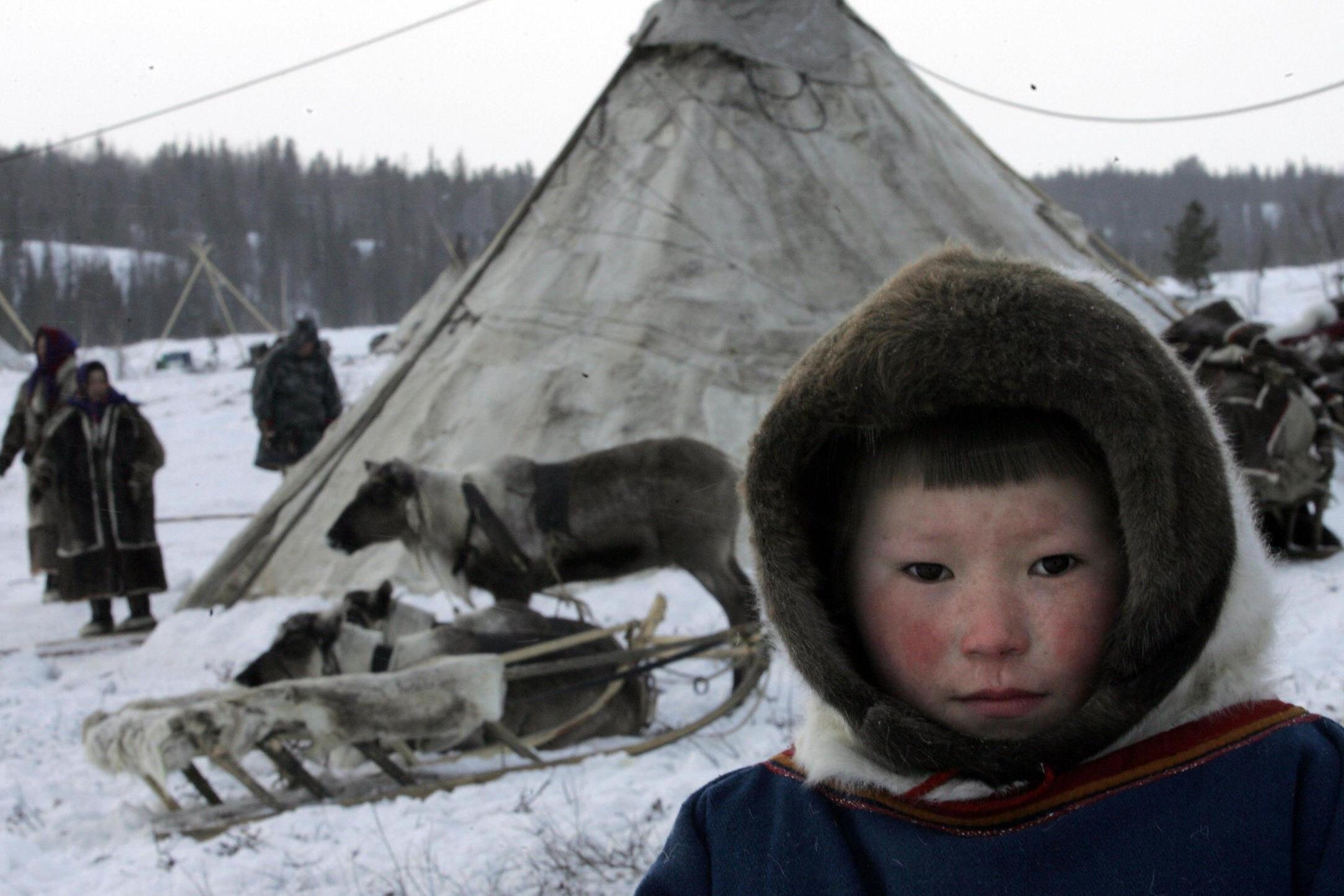 Frozen dishes are rooted in the Nenets’ nomadic past (AFP/Getty)