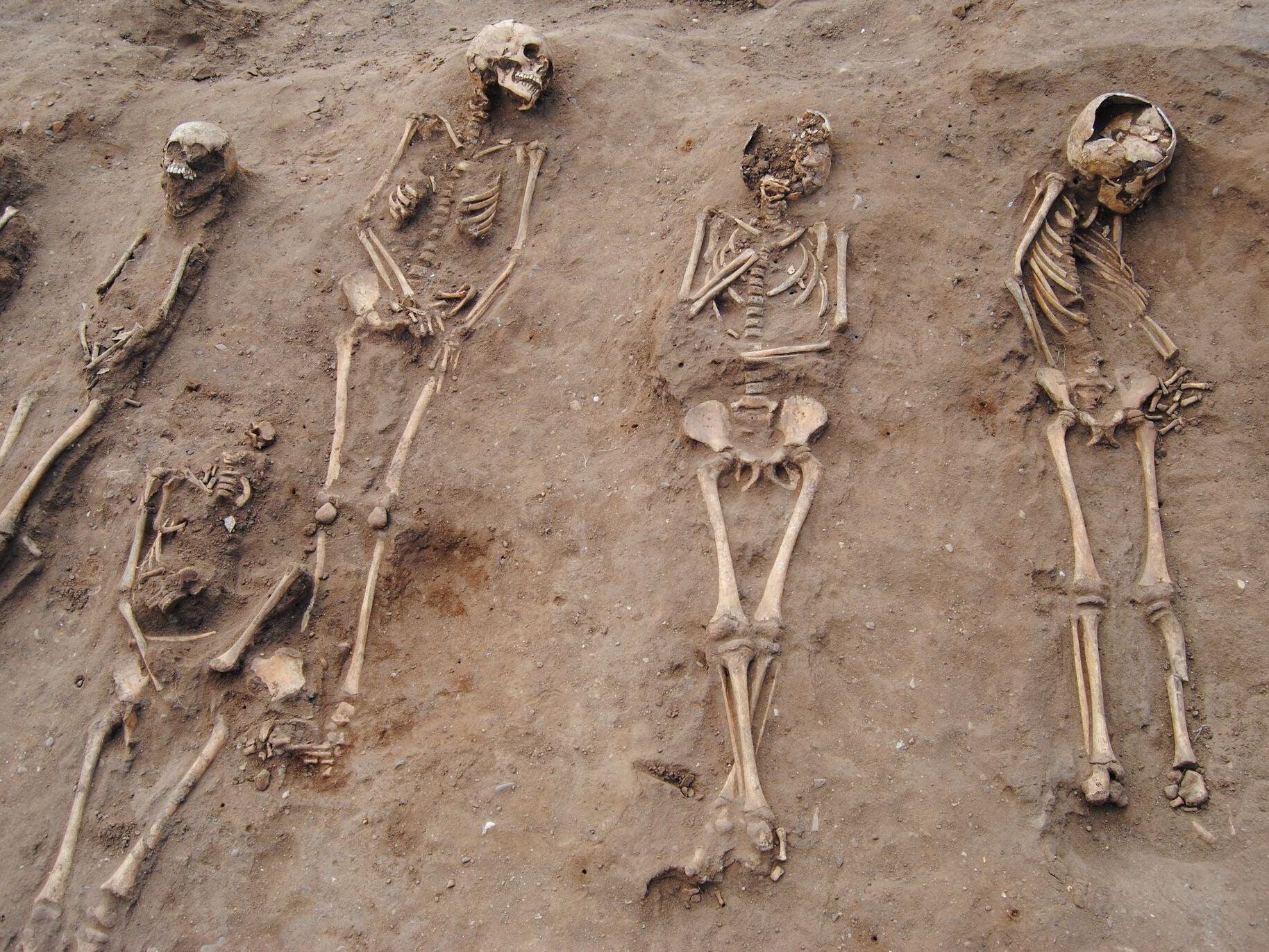 Medieval &apos;Black Death&apos; burial site found in Lincolnshire