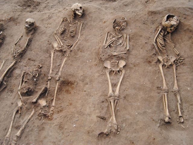 The remains of Black Death victims found in the precincts of a ruined Lincolnshire abbey