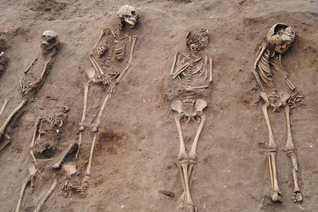 The remains of Black Death victims found in the precincts of a ruined Lincolnshire abbey