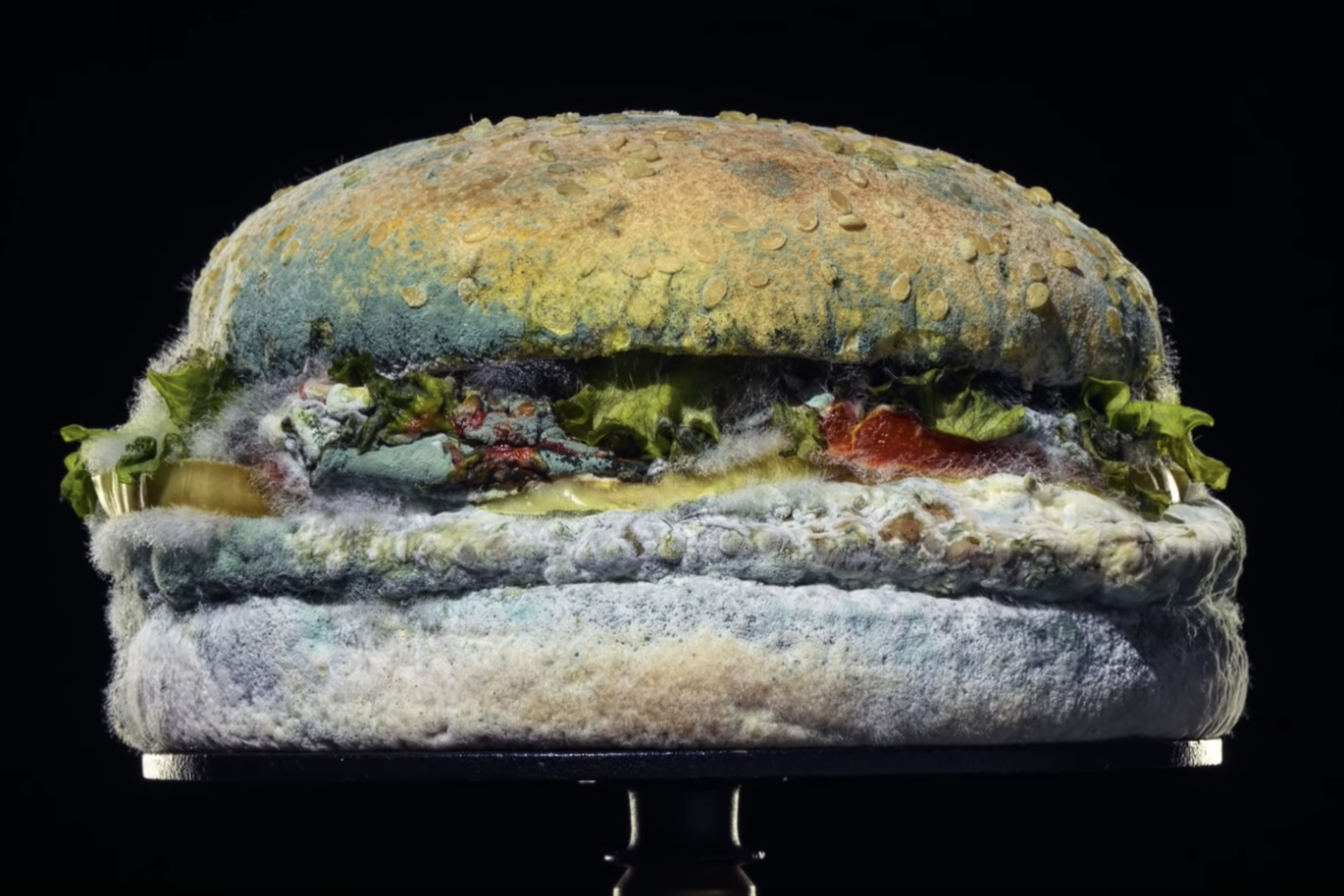 Burger King unveils mouldy whopper in bizarre new ad campaign The Independent The Independent