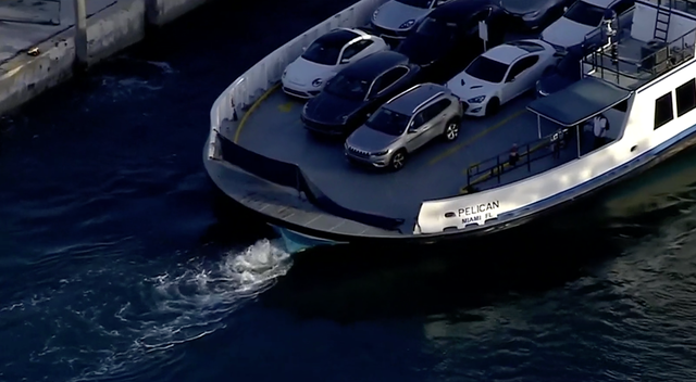 It is believed that the blue Mercedes Benz was parked next to the grey SUV on the Fisher Island Ferry, before going through the blue barrier and into the water