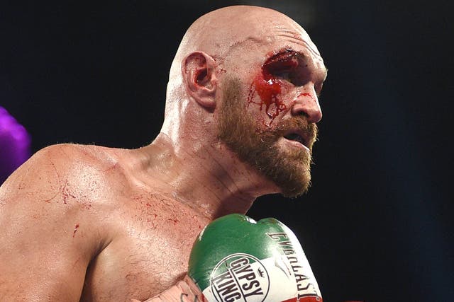 Fury suffered a deep cut above his eye in his fight with Wallin