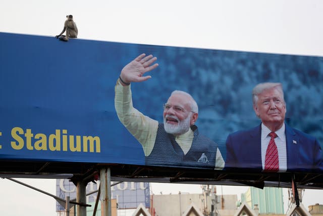 A monkey sits on a hoarding welcoming Donald Trump to Ahmedabad, India