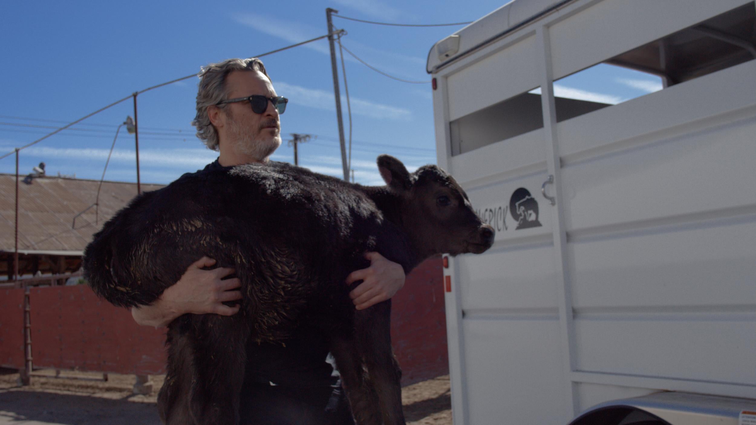 Phoenix rescued the newborn calf from the slaughterhouse (Shaun Monson)