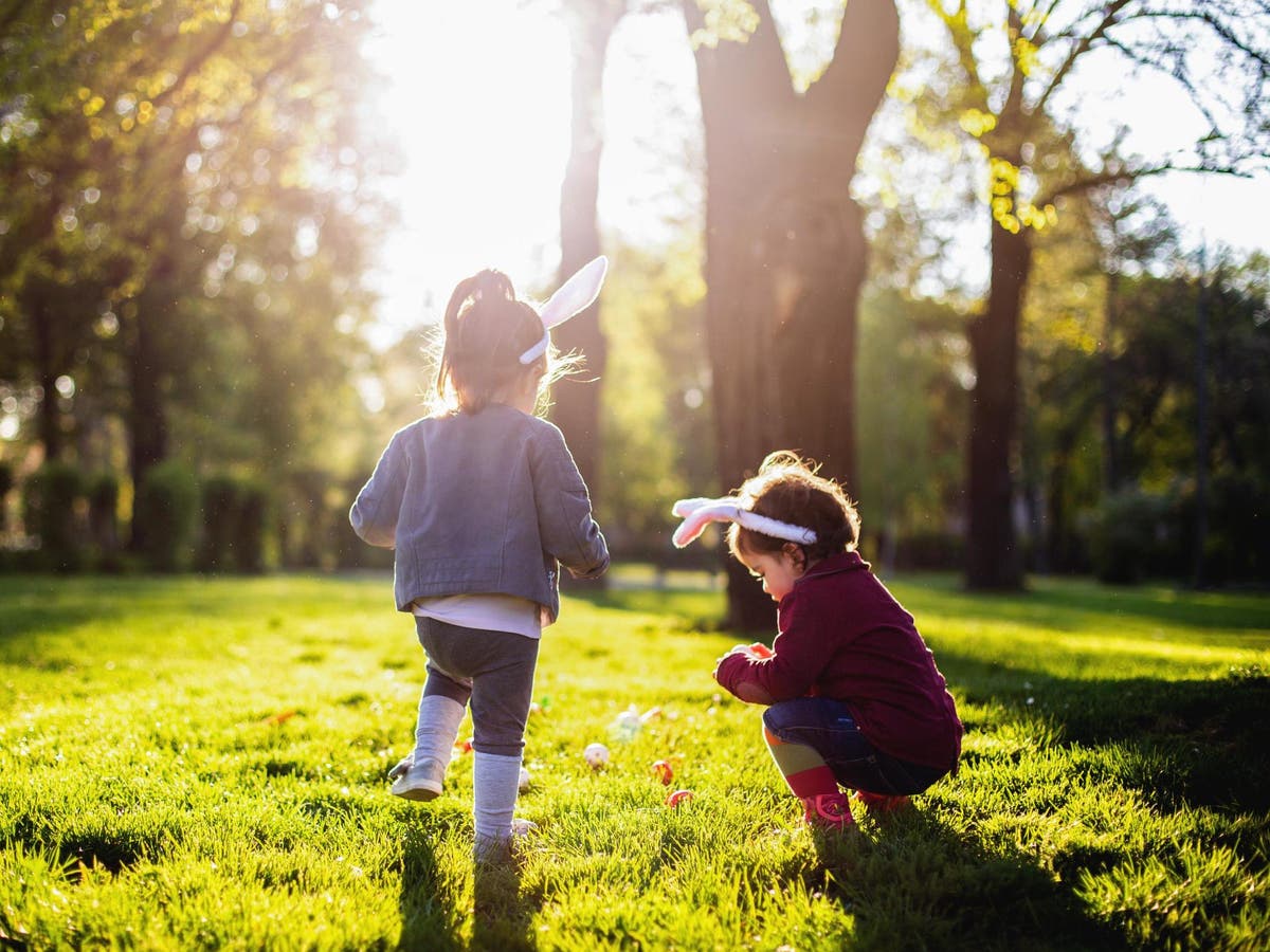 National Trust pulls Cadbury Easter egg hunt in bid to focus children on ‘nature’