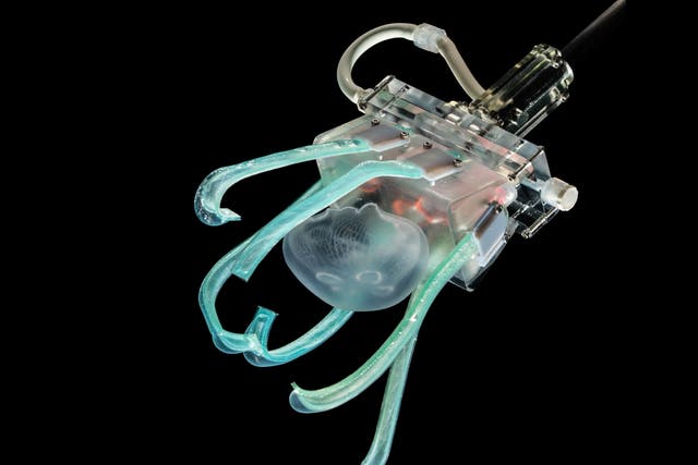 Marine biologists adopted soft robotic linguine fingers' as tools to conduct their undersea research