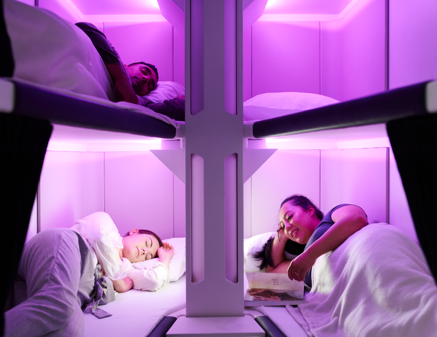 Air New Zealand has unveiled their new Economy Skynest