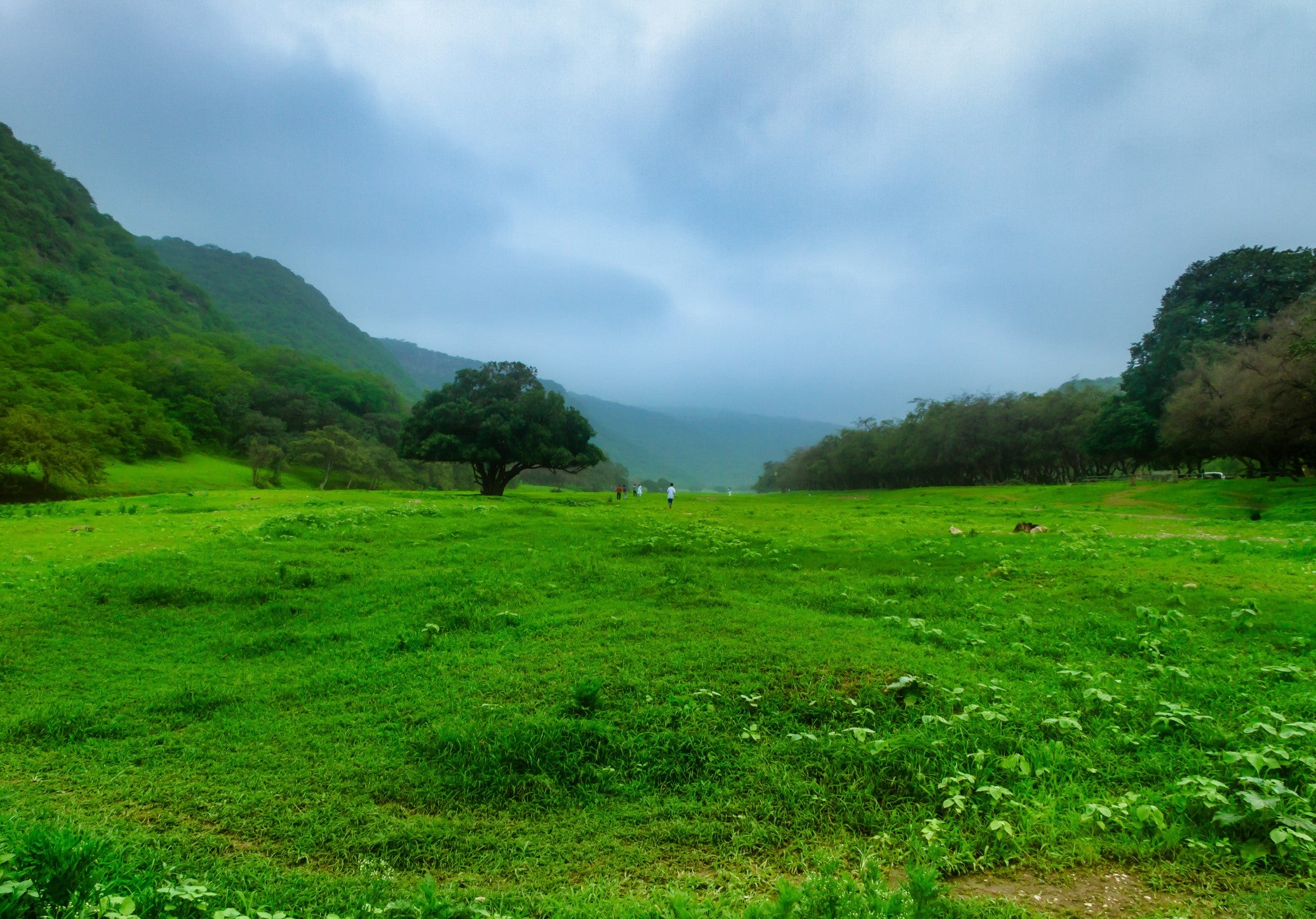 Salalah during rainy season (Getty)