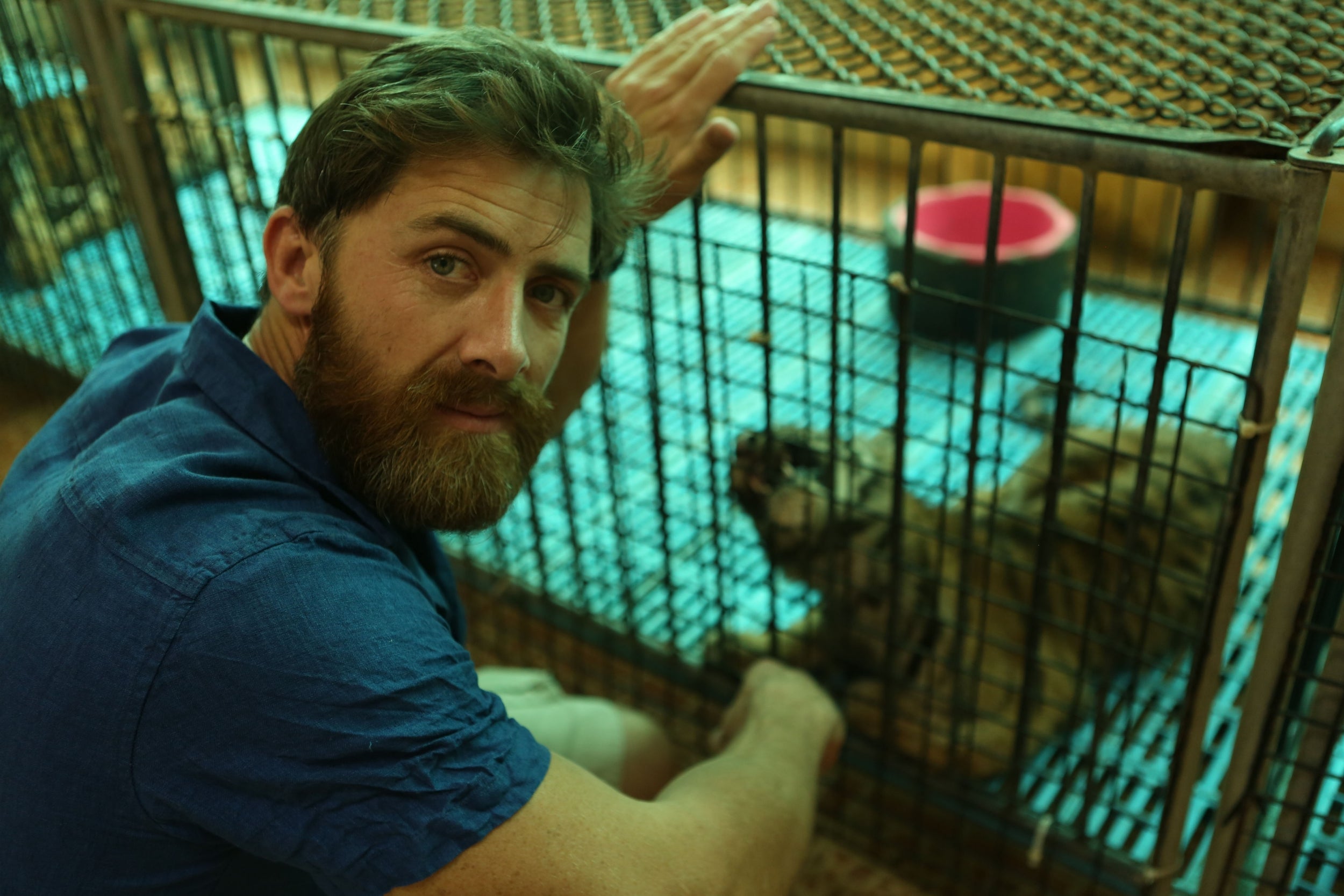 Kane with a caged tiger at Sriracha Zoo (BBC)