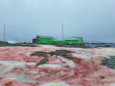 Antarctica snow turns ‘blood red’