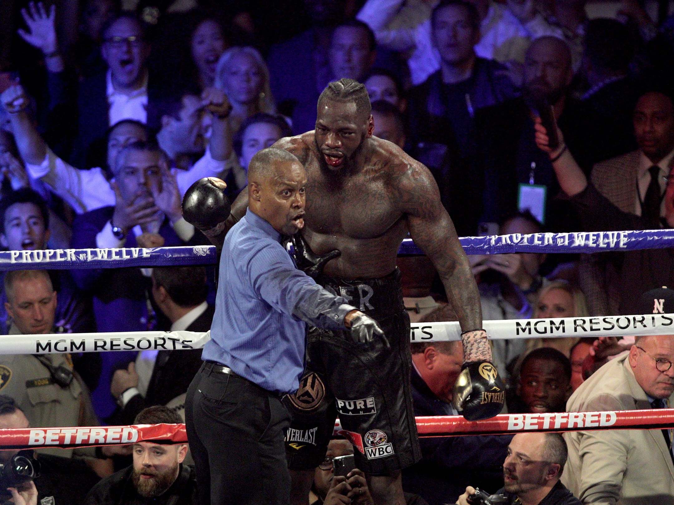 Deontay Wilder was incensed by the decision to pull him out of the fight