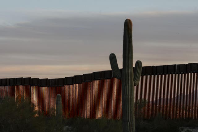 A cactus beside the border wall as seen in Organ Pipe National Park south of Ajo Arizona on 13 February 13 2020
