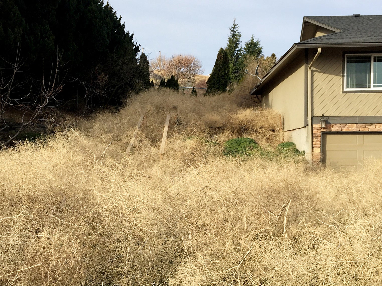 &#13;
He expressed fear that the stacks could catch fire and burn down his home &#13;