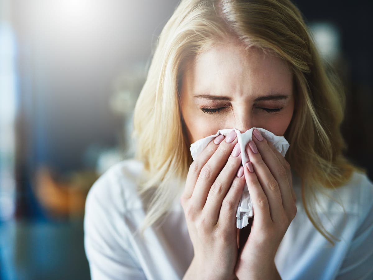 What is the common cold and why is there no cure for it? The Independent