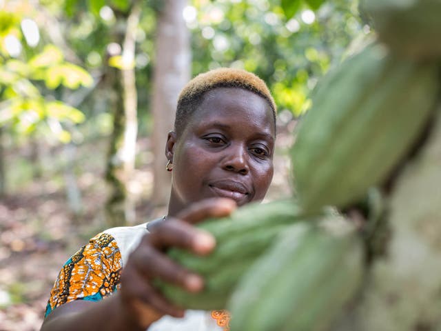 Entrepreneur: Rosine inspects her cacao pods, which she produces to Fairtrade standards