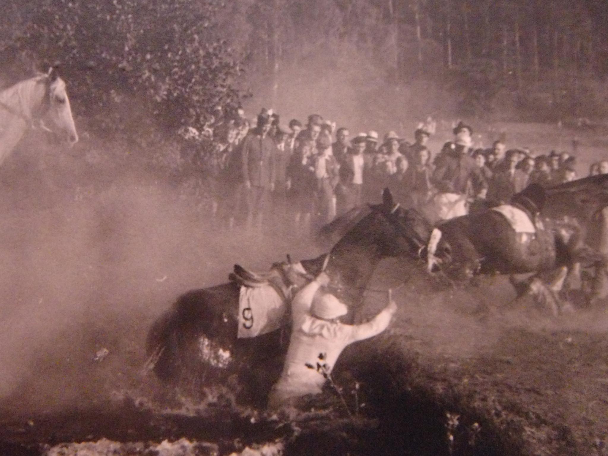 Carnage at the water jump in the Grand Pardubice, 1934