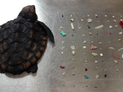 The Church of Scientology used balloons when celebrating the grand opening of a new church in Ventura, California