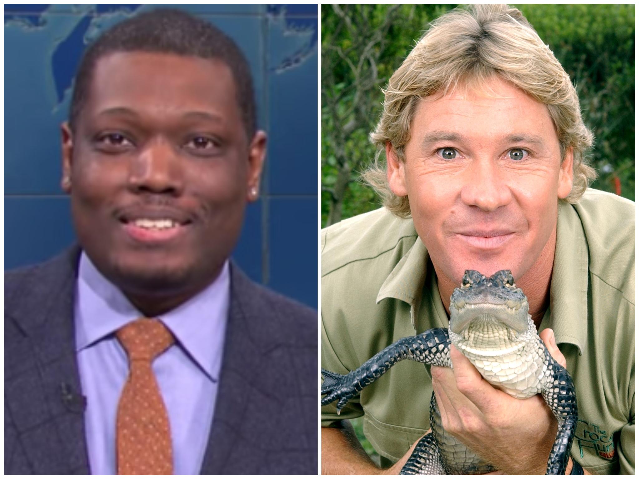 SNL joke about Steve Irwin draws groans from shocked audience