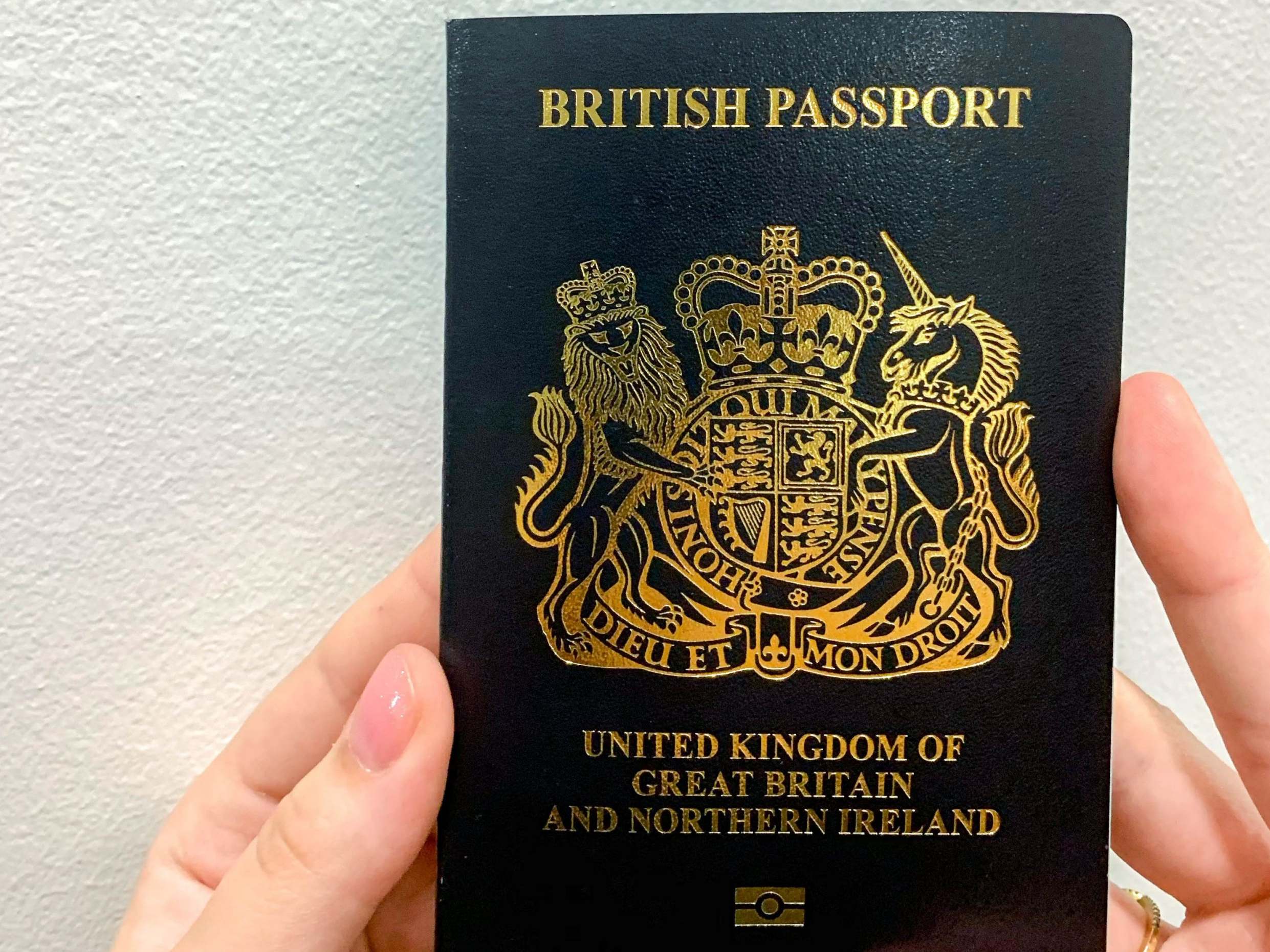 Blue Passport 