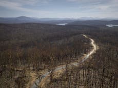 Australia state celebrates no active fires for first time in 240 days