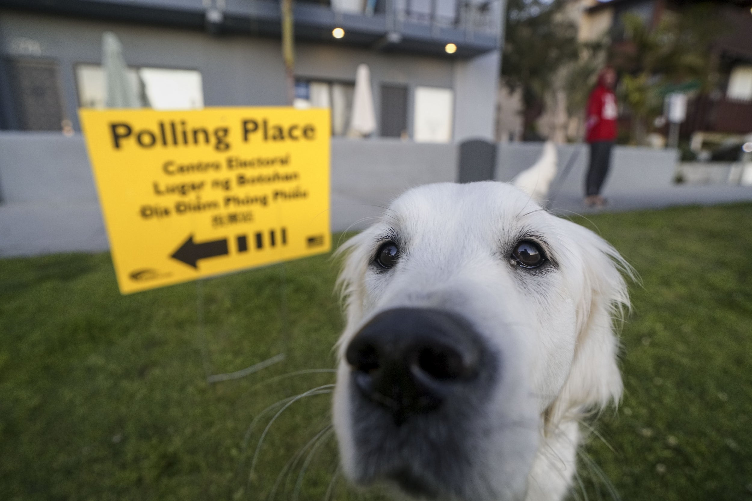On the ground in Tennessee, Democratic voters are more torn about their Super Tuesday votes than ever before