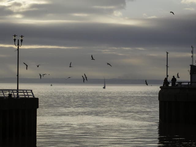 Eleven people have been discovered inside a container in Hull