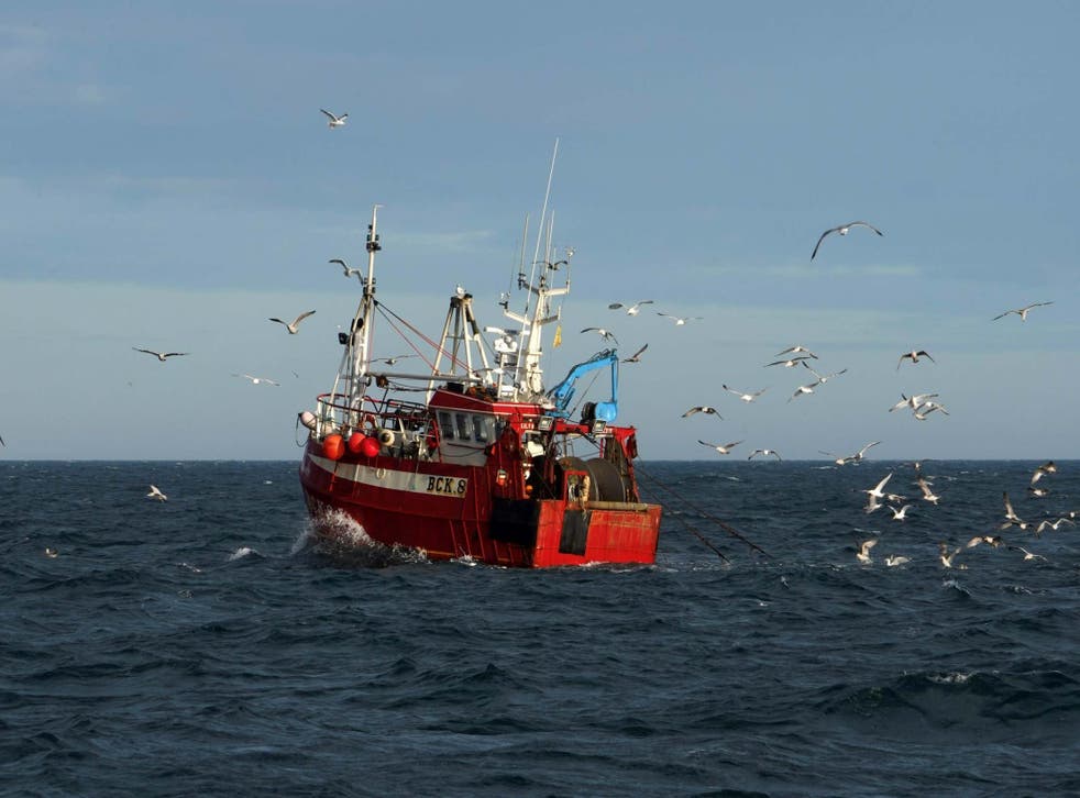 A review has recommended banning sea fishing and other human activities in protected marine zones
