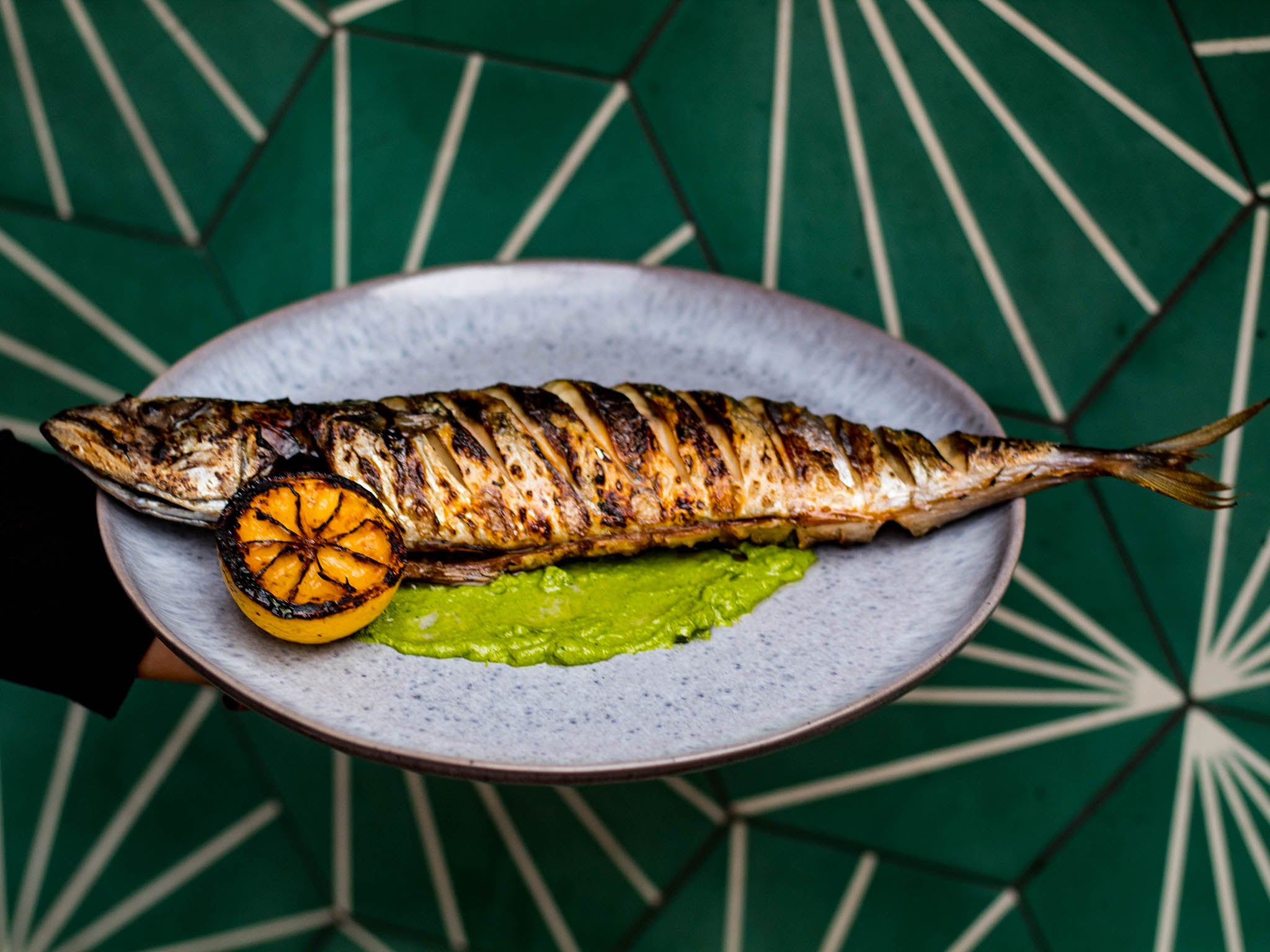 Pilgrim’s mackerel comes nicely charred