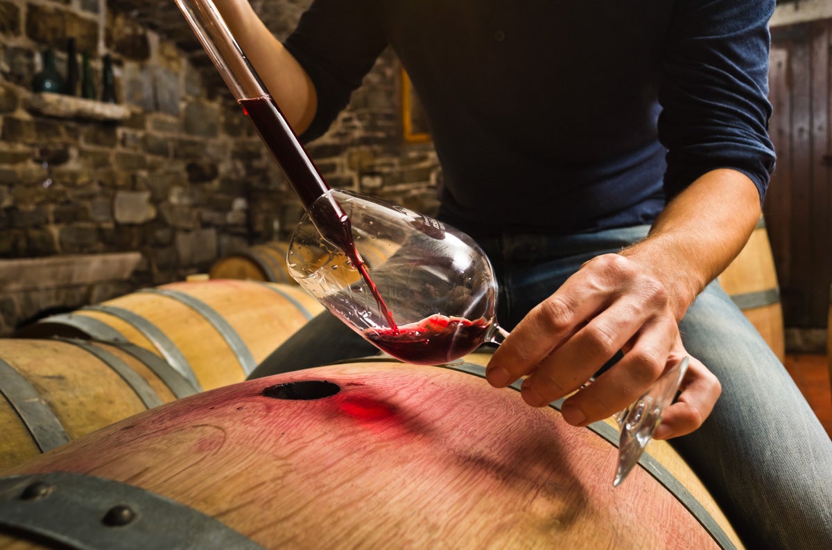 Wine tasting is part of the Vipava Valley triathlon