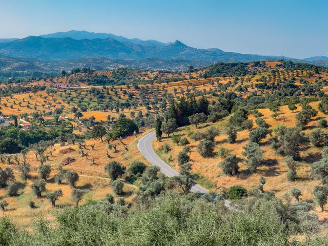 The Greek olive oil is generally smoother and has a more delicate taste