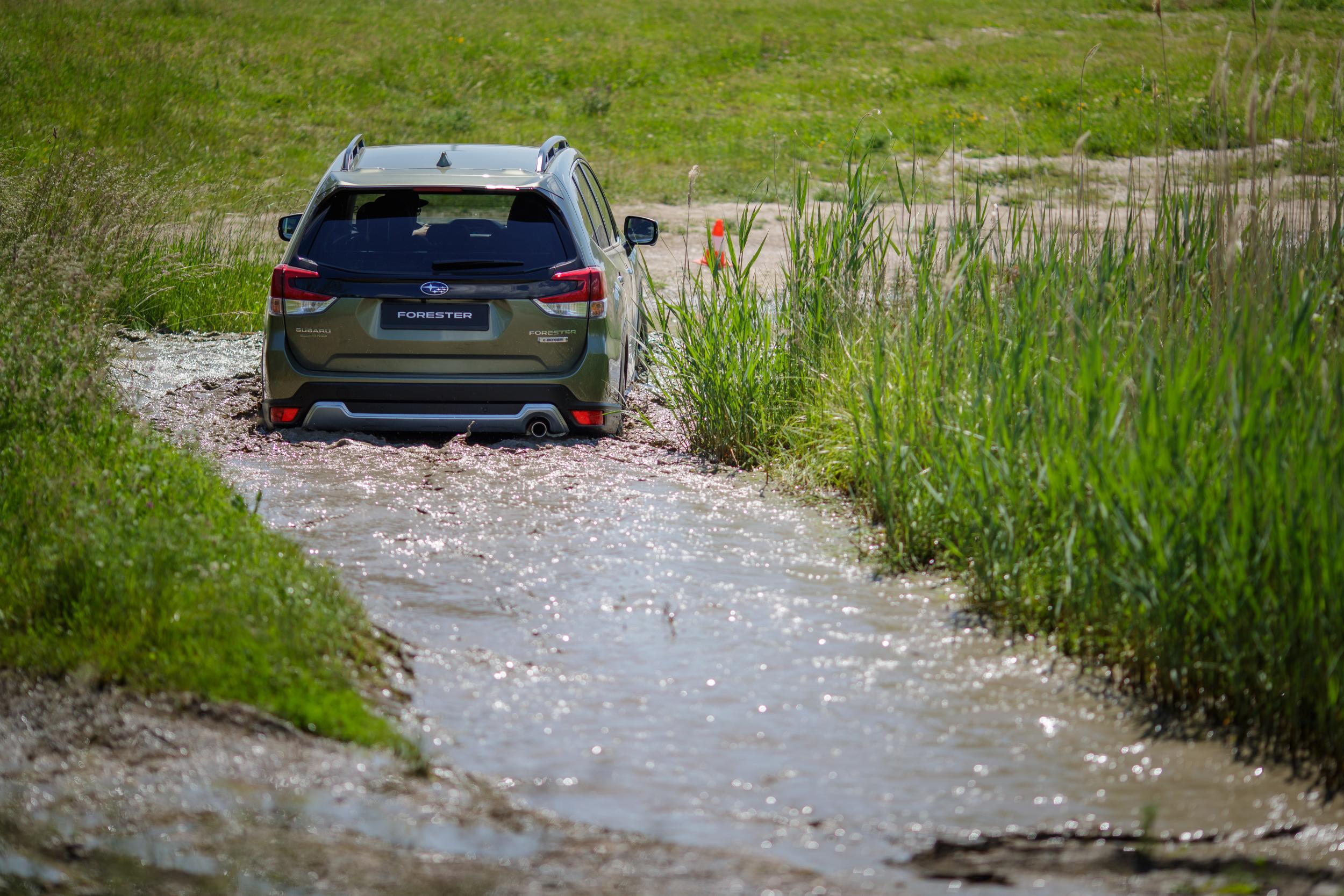 Car review: The Subaru Forester – one for the green welly brigade