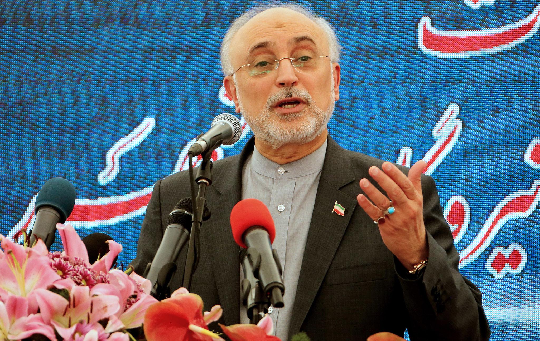Ali Akbar Salehi, head of Iran’s Atomic Energy Organisation