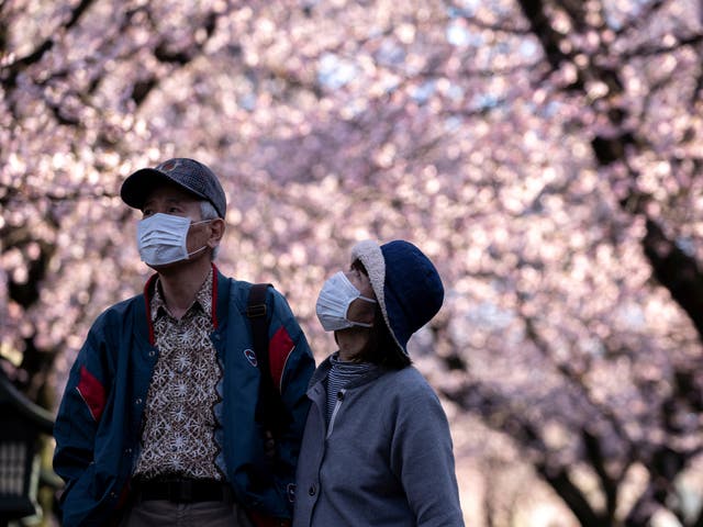 Cherry blosson and tulips are enough to bring Jenny Eclair a moment of happiness this spring