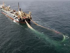 ‘Supertrawlers’ fishing in UK protected waters up by over 1,000%