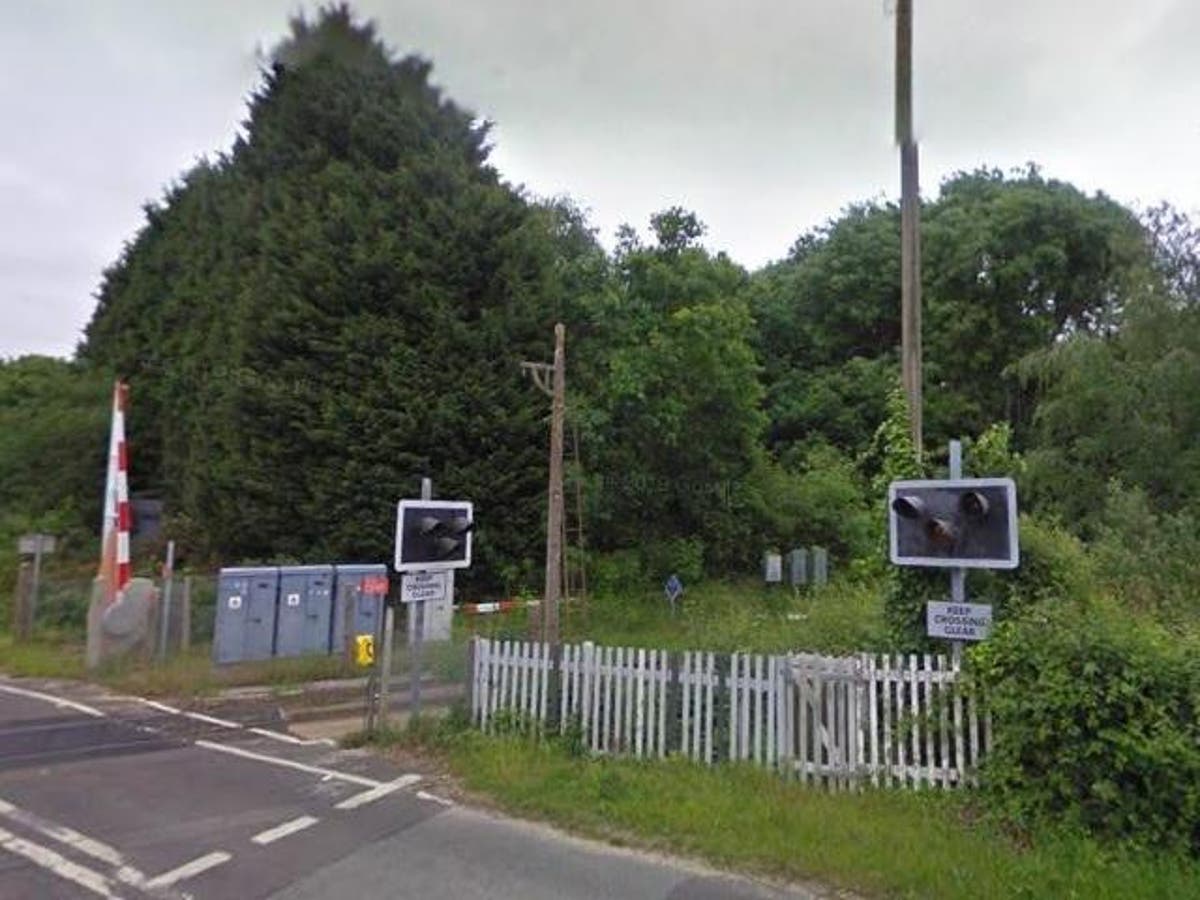 Woman arrested after newborn baby found dead in woods near Southampton ...