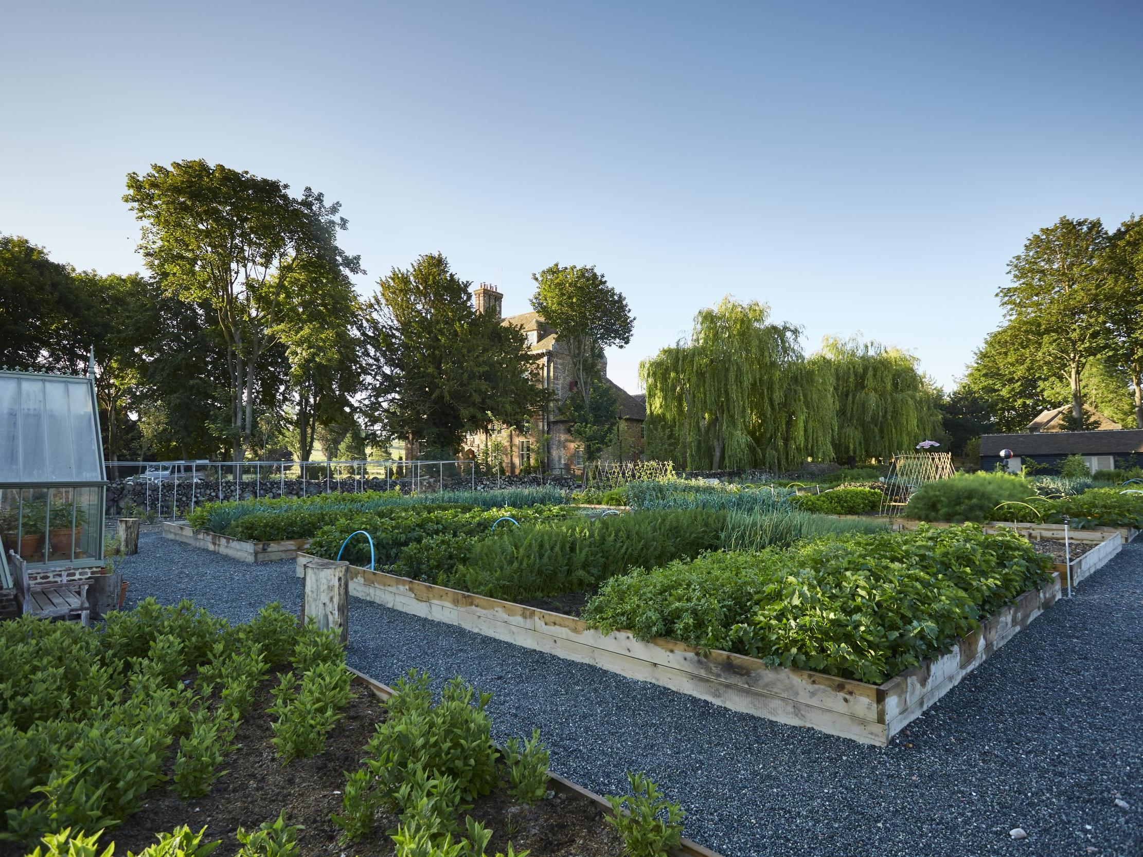 The kitchen gardens at The Pig at Bridge Place