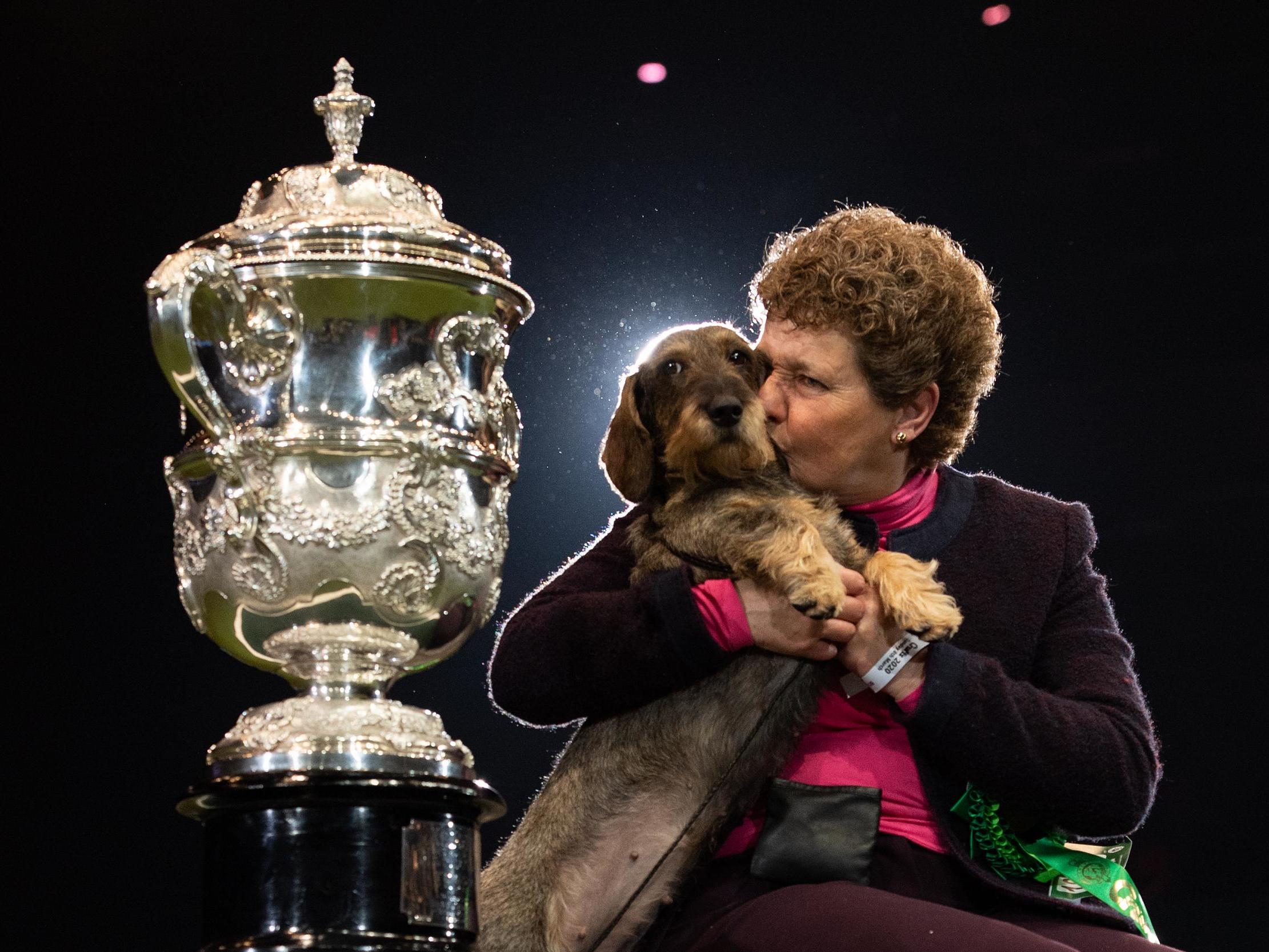 Crufts 2020 Best In Show winner Maisie took a toilet break during