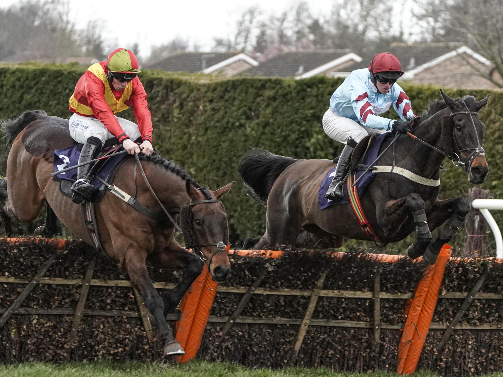 The Cheltenham Festival is set to go ahead