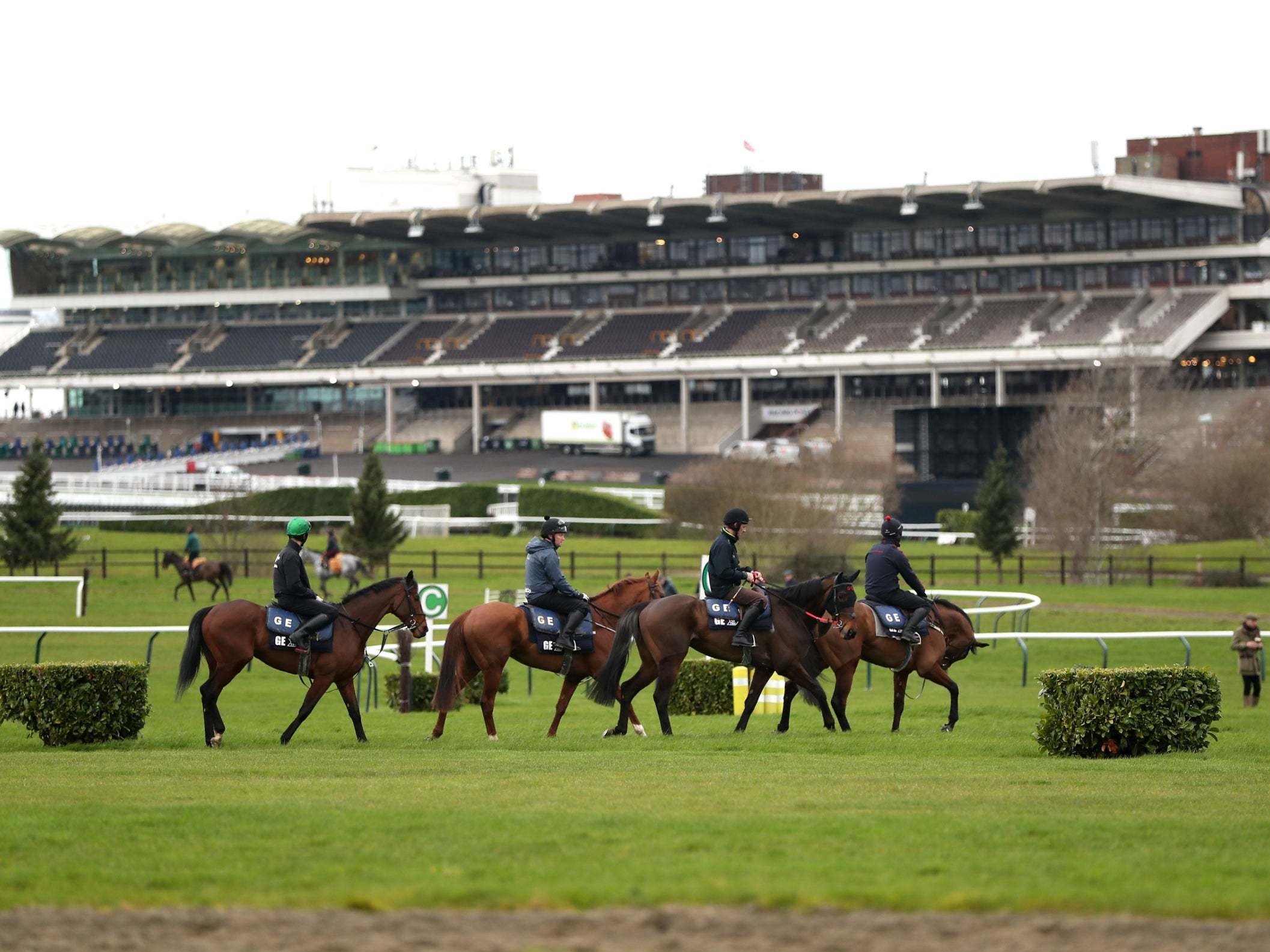 Cheltenham Festival: Full racecard, result and tips as Champion Hurdle headlines Tuesday&apos;s schedule