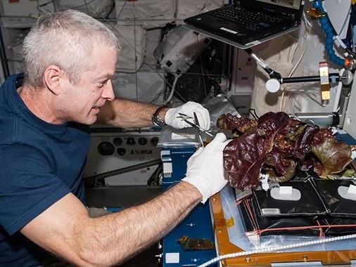 Food on mars will sometimes have been prepared five years before (Nasa/Alex Gerst)
